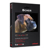 Audioquest Boxer RCA Low-Frequency Subwoofer Audio Cable