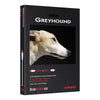 Audioquest Greyhound RCA Low-Frequency Subwoofer Cable