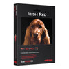 Audioquest Irish Red RCA Low-Frequency Subwoofer Audio Cable