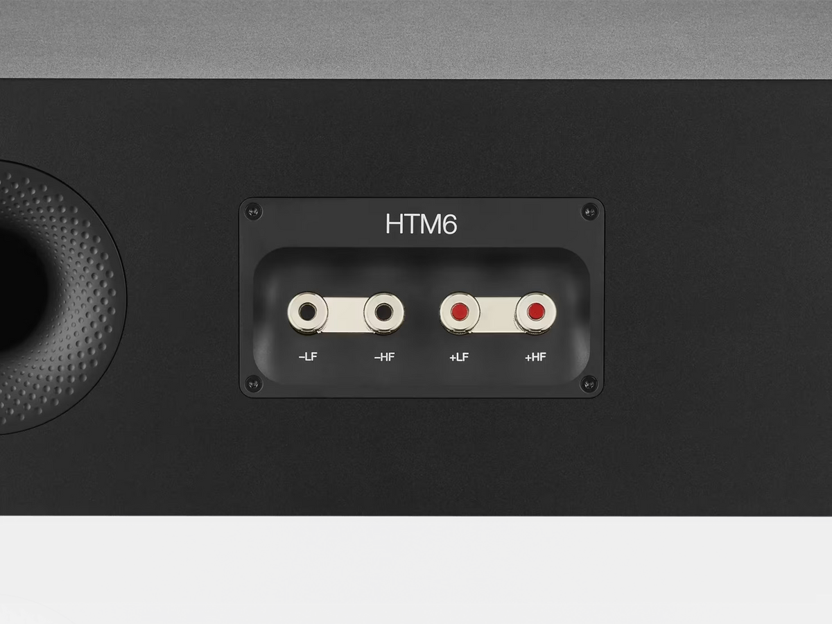 Upgraded speaker terminals