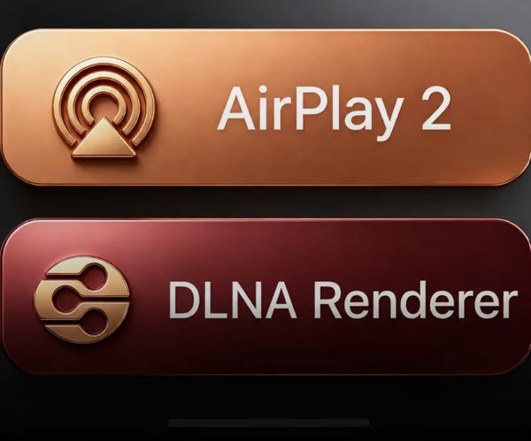 Supports DLNA / AirPlay 2 wireless streaming