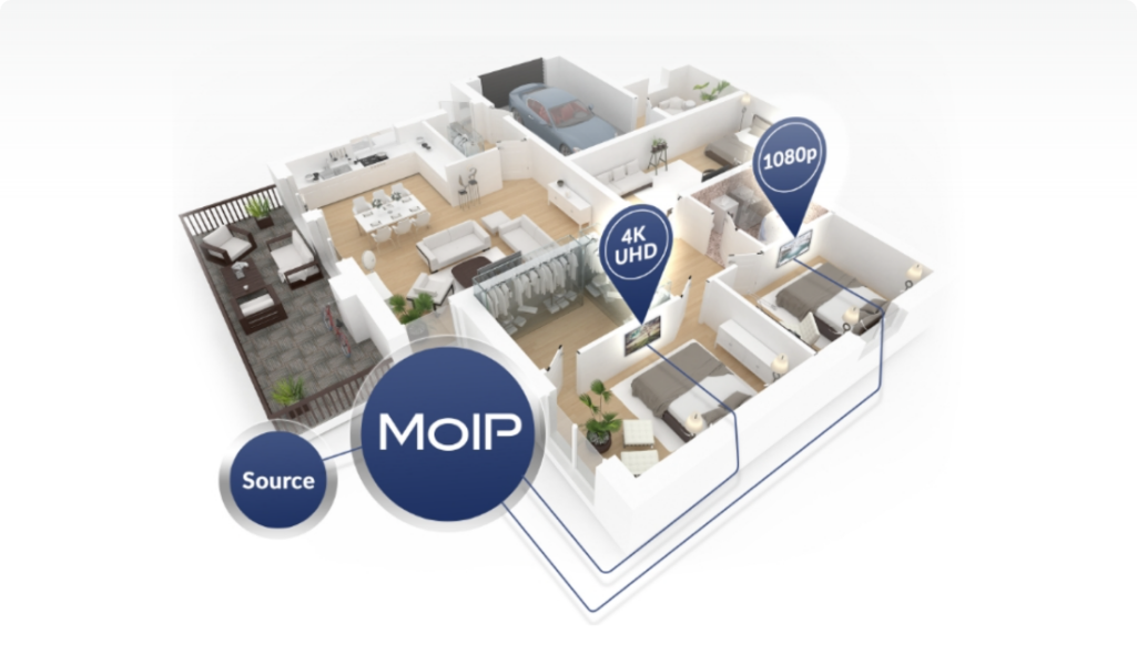 moip video distribution