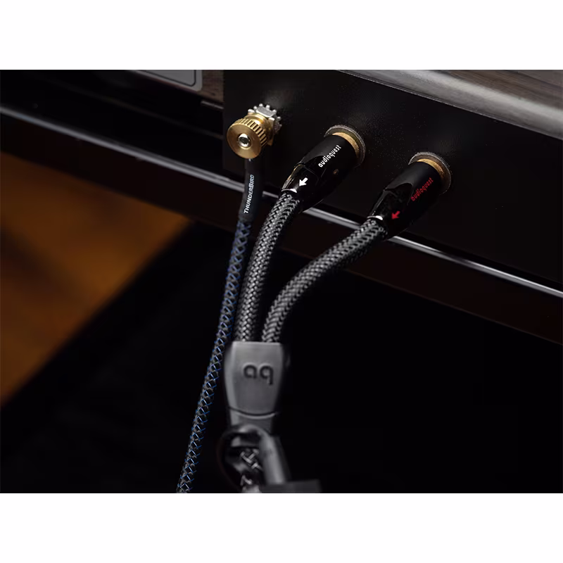 Audioquest Angel RCA Cable